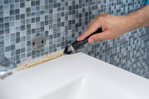 Lauderdale, MN Mold Remediation Company